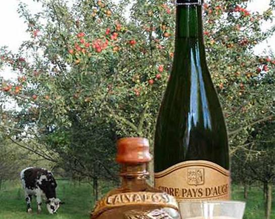 Cidre et Calva - Hôtel L'Ile de Sées